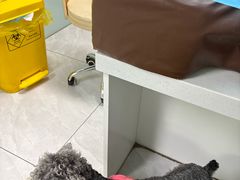-达爱动物医院·犬猫分区·CT·复杂眼科(远洋山水分院)