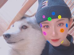 -Husky Go! 哈士奇体验馆·宠物咖啡厅狗咖