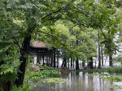 -东湖落雁景区