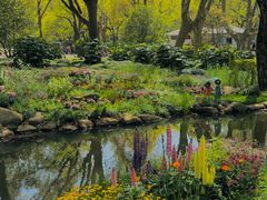 -上海共青森林公园