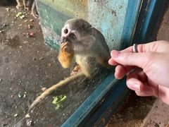 -大连森林动物园