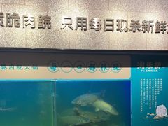 -淘米捞·米汤脆鲩鱼火锅(福田皇岗店)