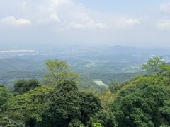 -黄埔油麻山森林公园