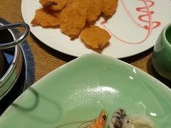-海桐