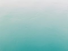 -广州市流溪河国家森林公园