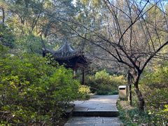 -杭州植物园