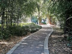 -洛龙公园
