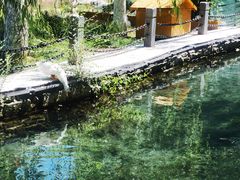 -水磨沟公园