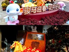 -越秀西湖花市(广州城市广场花卉店)