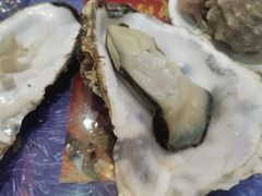 -福泉海码头(六里山店)