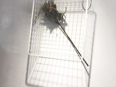 -研途咖啡馆(健康路店)