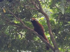 -泉州海丝野生动物世界