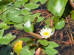 -尚贤河湿地