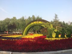 -大兴滨河森林公园