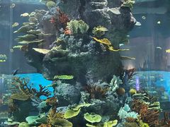 -福州罗源湾海洋世界旅游区