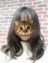 -尚丹尼造型