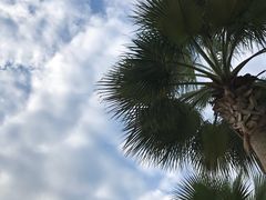 -大螃蟹海鲜餐厅