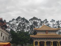 -广东圆玄道观