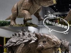 -中华恐龙园