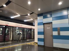 -大望路(地铁站)