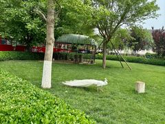 -静之湖度假区