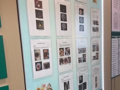 -瑞派伍一宠物医院·眼科·骨科·猫科转诊中心(马王堆院)