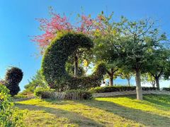 -东莞植物园