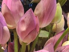 -三旗百汇商品城