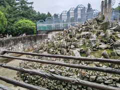 -贵州森林野生动物园