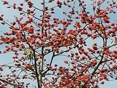 -人民公园(罗湖区)