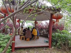 -武汉世外桃源农庄