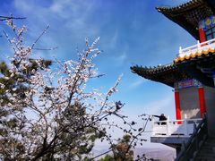 -皋兰山