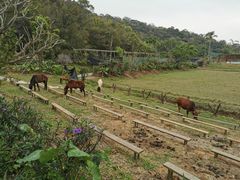 -李小龙乐园(顺德均安店)