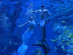 -波塞冬旅游度假区