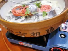-全乐鱼馆·淳牌有机鱼直营店