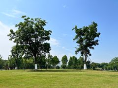 -西山漾湿地公园