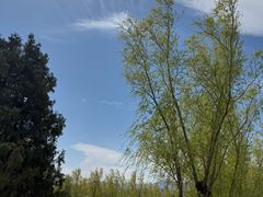 -青龙湖公园