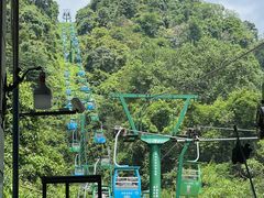 -野象谷景区