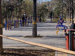 -回龙观体育文化公园