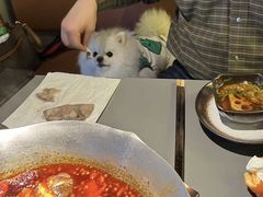 -湊湊火锅·茶憩(南京万象天地店)