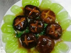 -大班家政月嫂育儿嫂(总部店)
