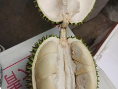 -新鸿港水果市场