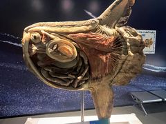 -生命奥秘博物馆
