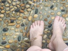 -融汇温泉