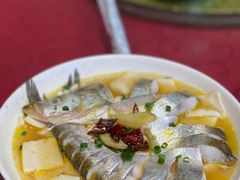 太湖白鱼-元泰酒店