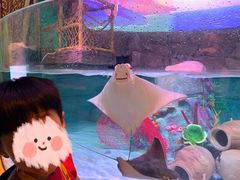 -沈阳海洋探索中心