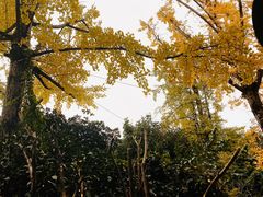 -百林公园-两江幸福广场