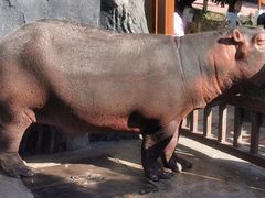 -贵州森林野生动物园