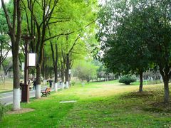 -堤角公园