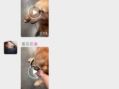 -宠爱国际动物医院· 猫科· 外科·中兽医(长白店)